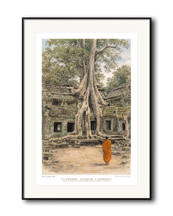 Ta Prohm Angkor — View 04